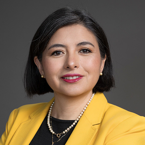 Cinthya Castro T.