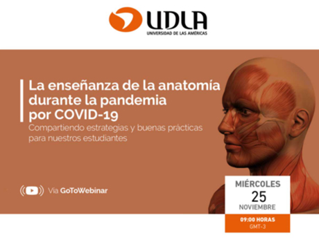 actividad-anatomia